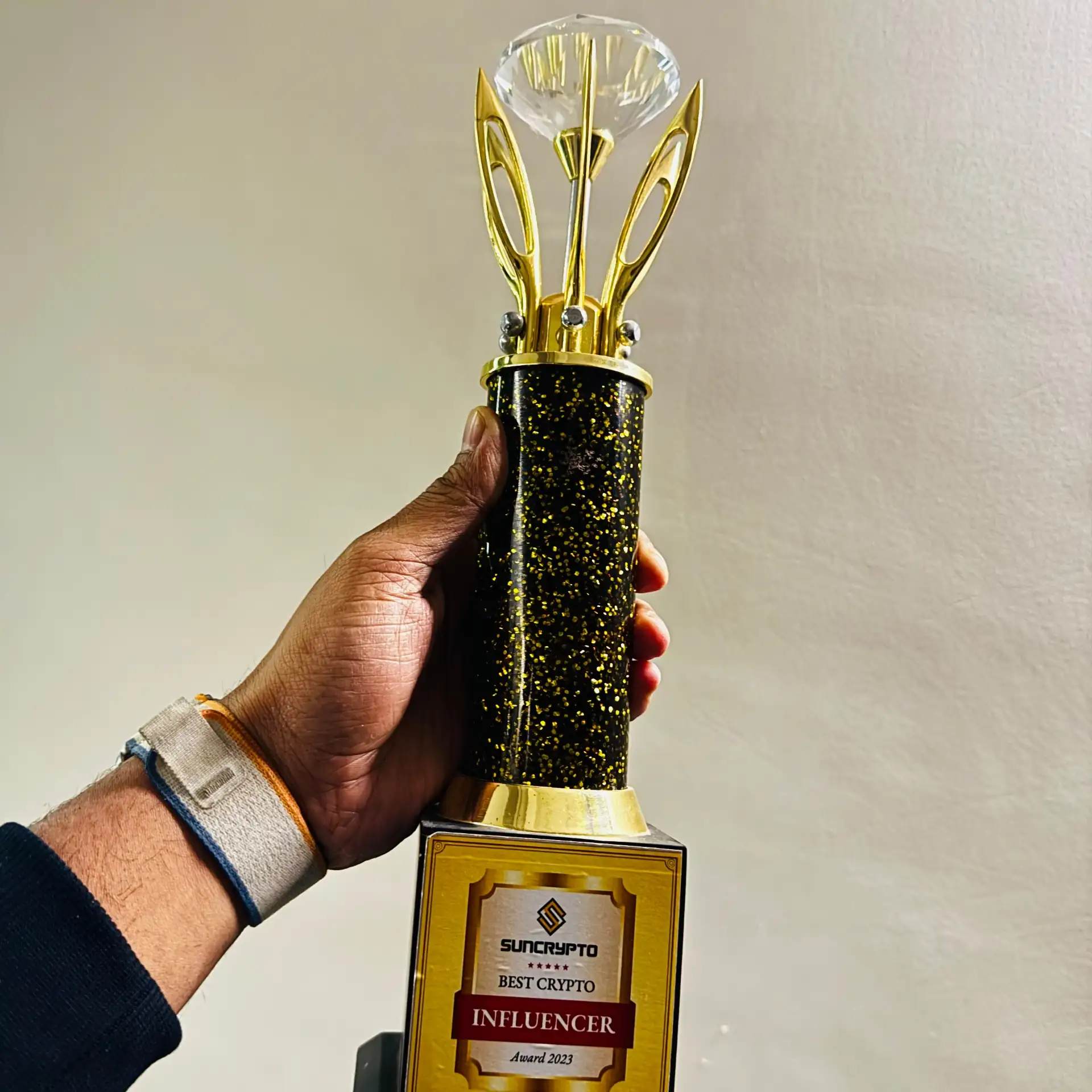 Best Crypto Influencer